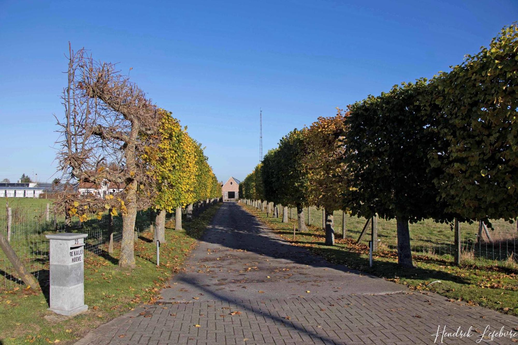 De Kaleihoeve Bavikhove Exterior foto